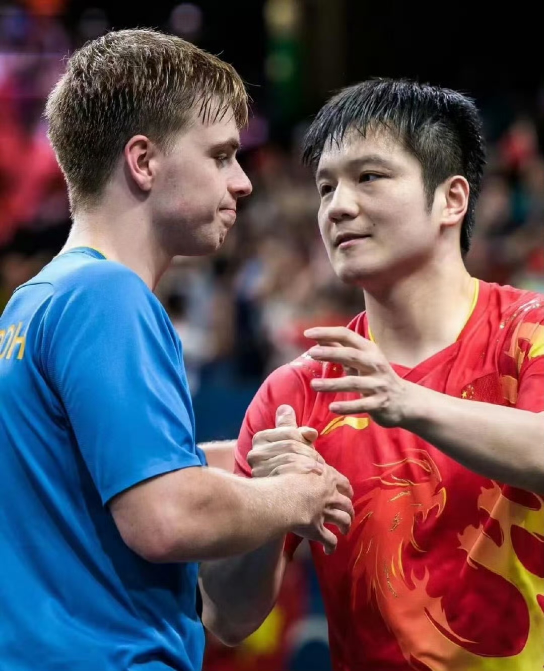 韩国队完胜瑞典队，樊振东扛起全队