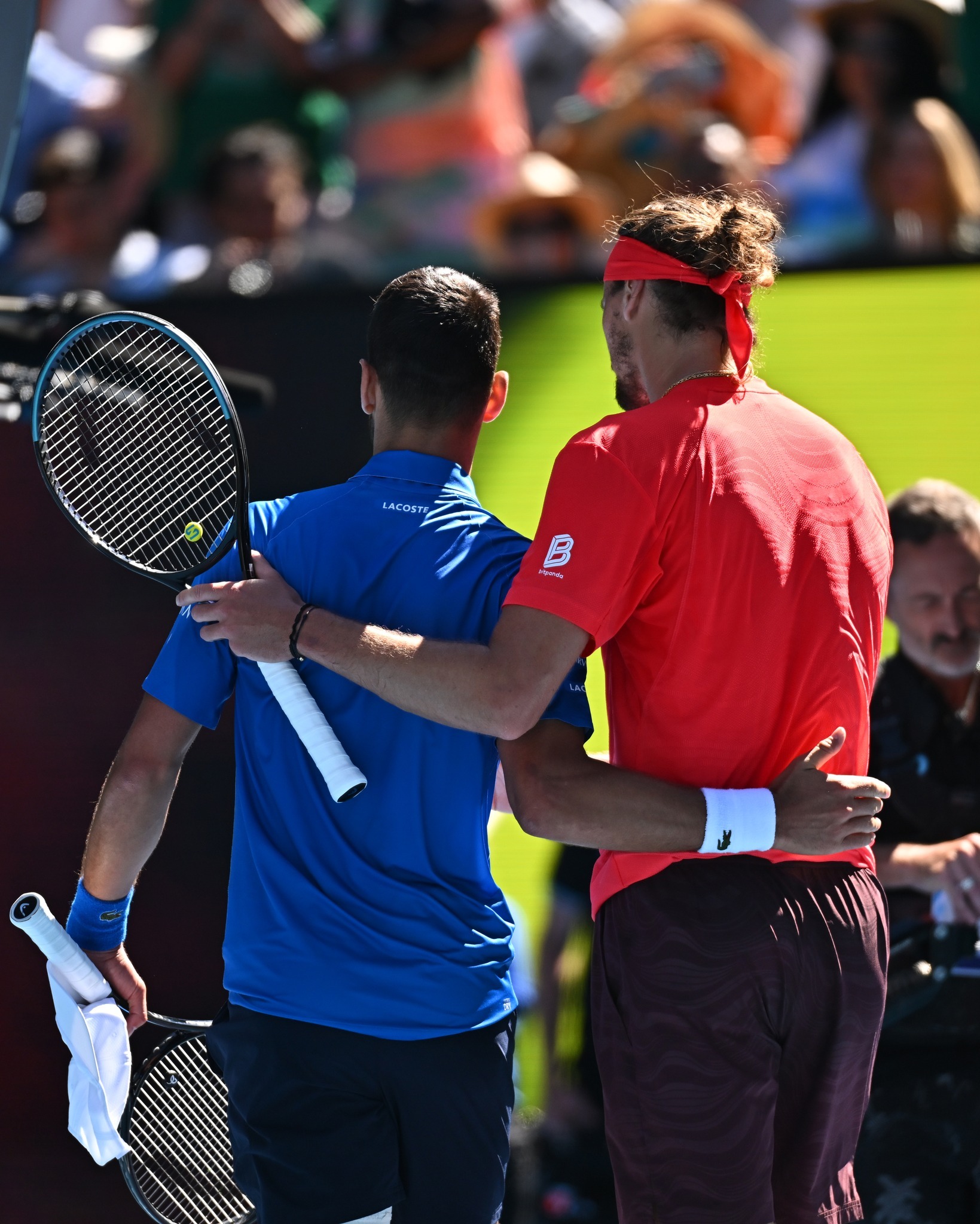 戴维斯杯横扫法网，兹维列夫带队取胜