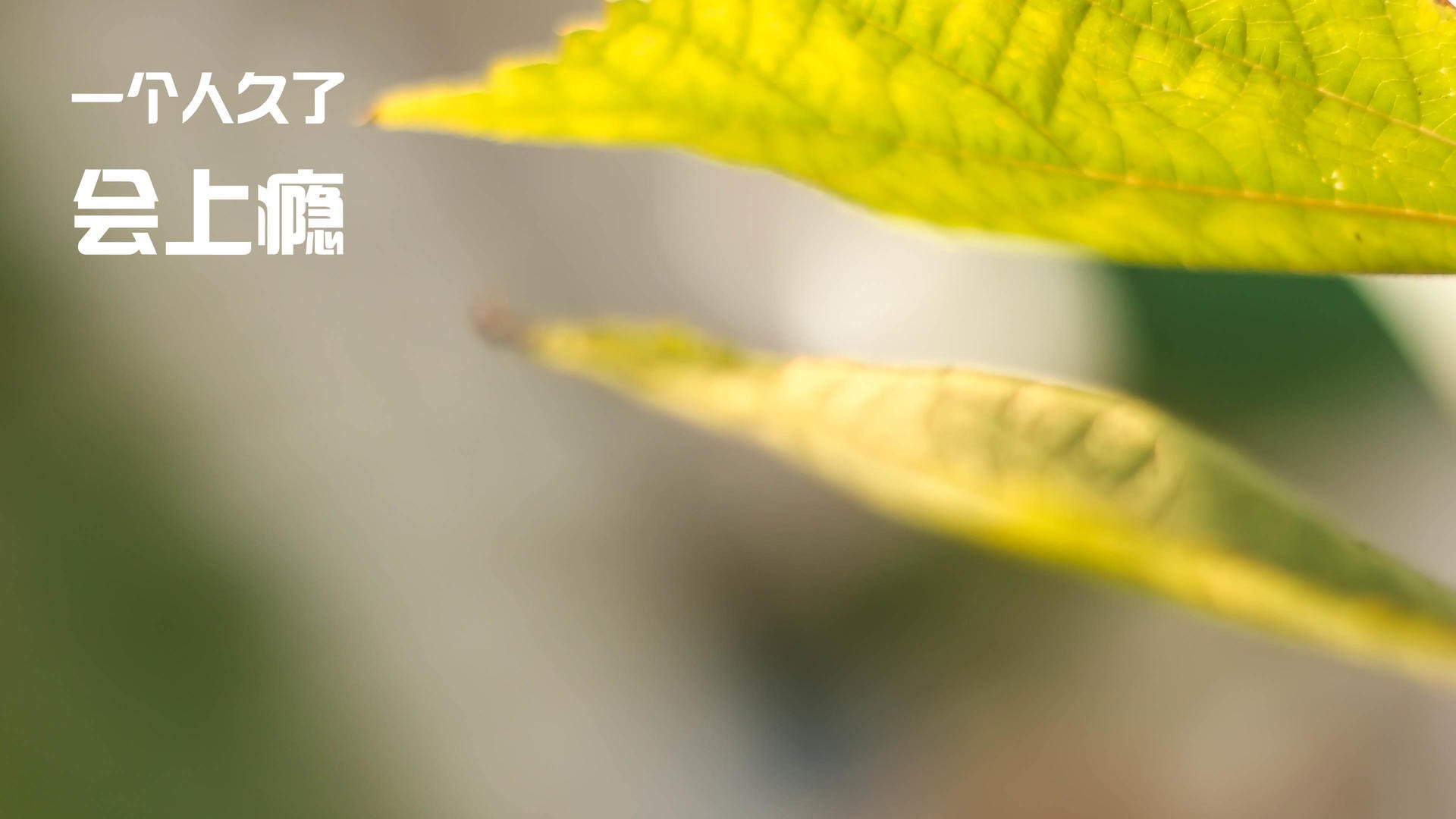 萨卡利刃破最硬铁壁，雷恩坚韧奏响红牛挽歌