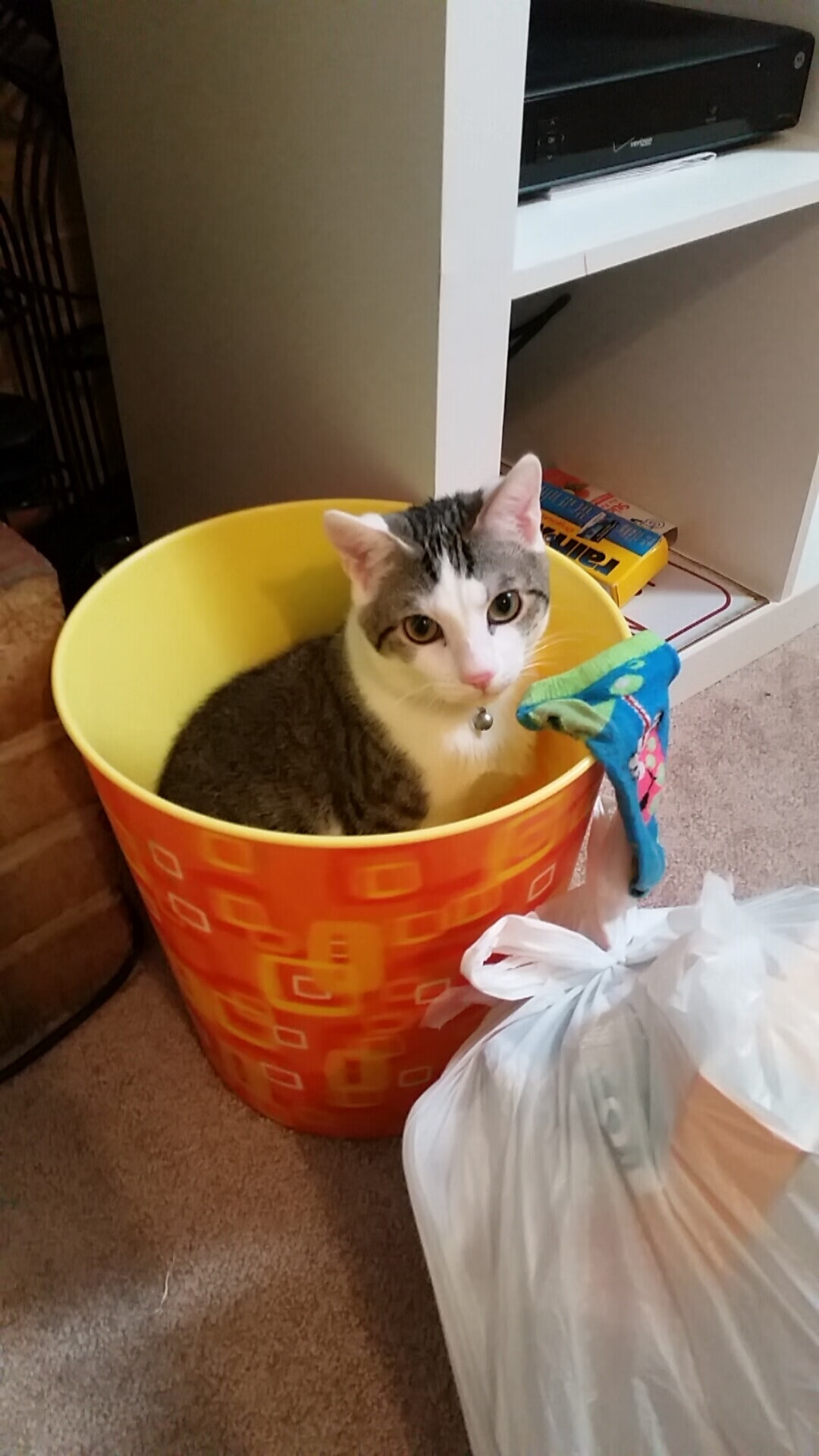 相同的星空，不同的战场，当曼城颤抖时，中国足球赢下属于自己的焦点战