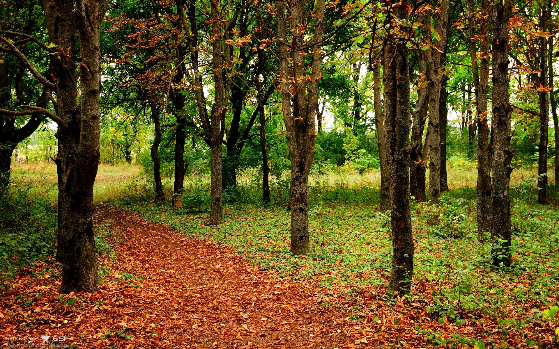 全速引擎—布鲁诺·费尔南德斯如何以攻防双核驱动葡萄牙撕裂挪威