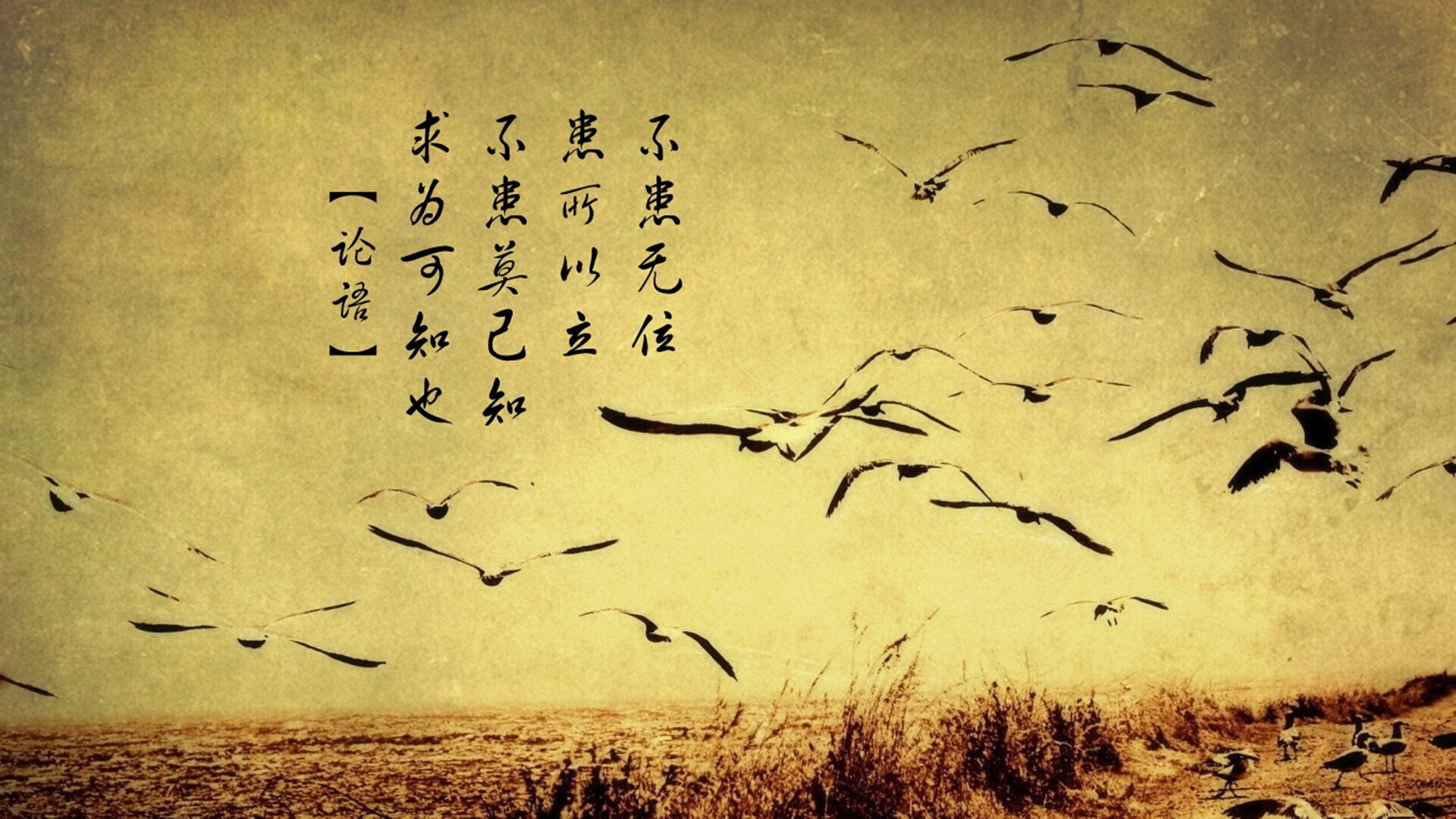 0.2秒的封喉利剑，克莱绝杀背后，凯尔特人的沉默杀手复苏记