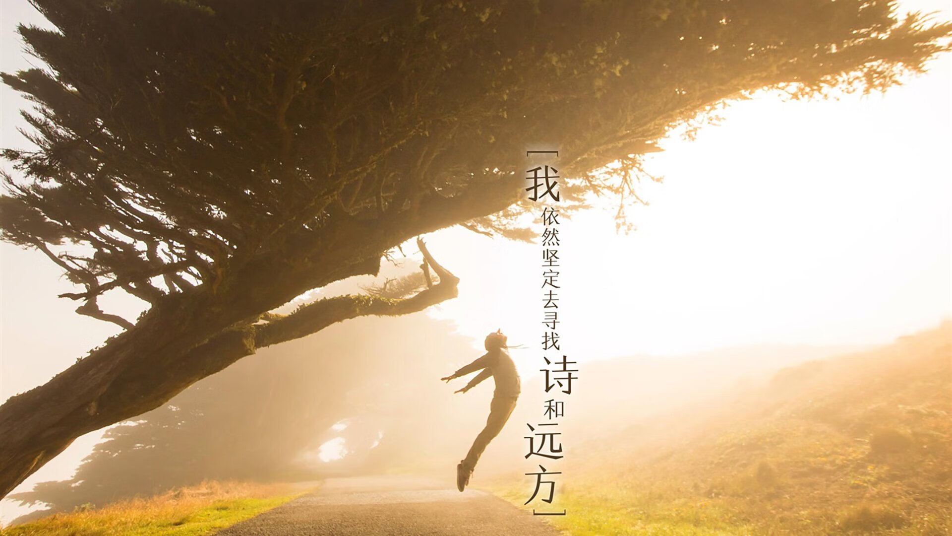 夜翼之下，哈利伯顿与F1街道赛的灵魂共鸣