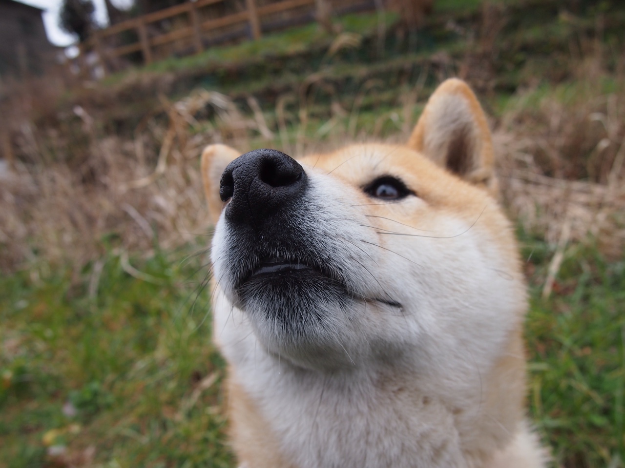 法比尼奥的统治力，利物浦狂胜乌拉圭，美加墨世界杯接管比赛