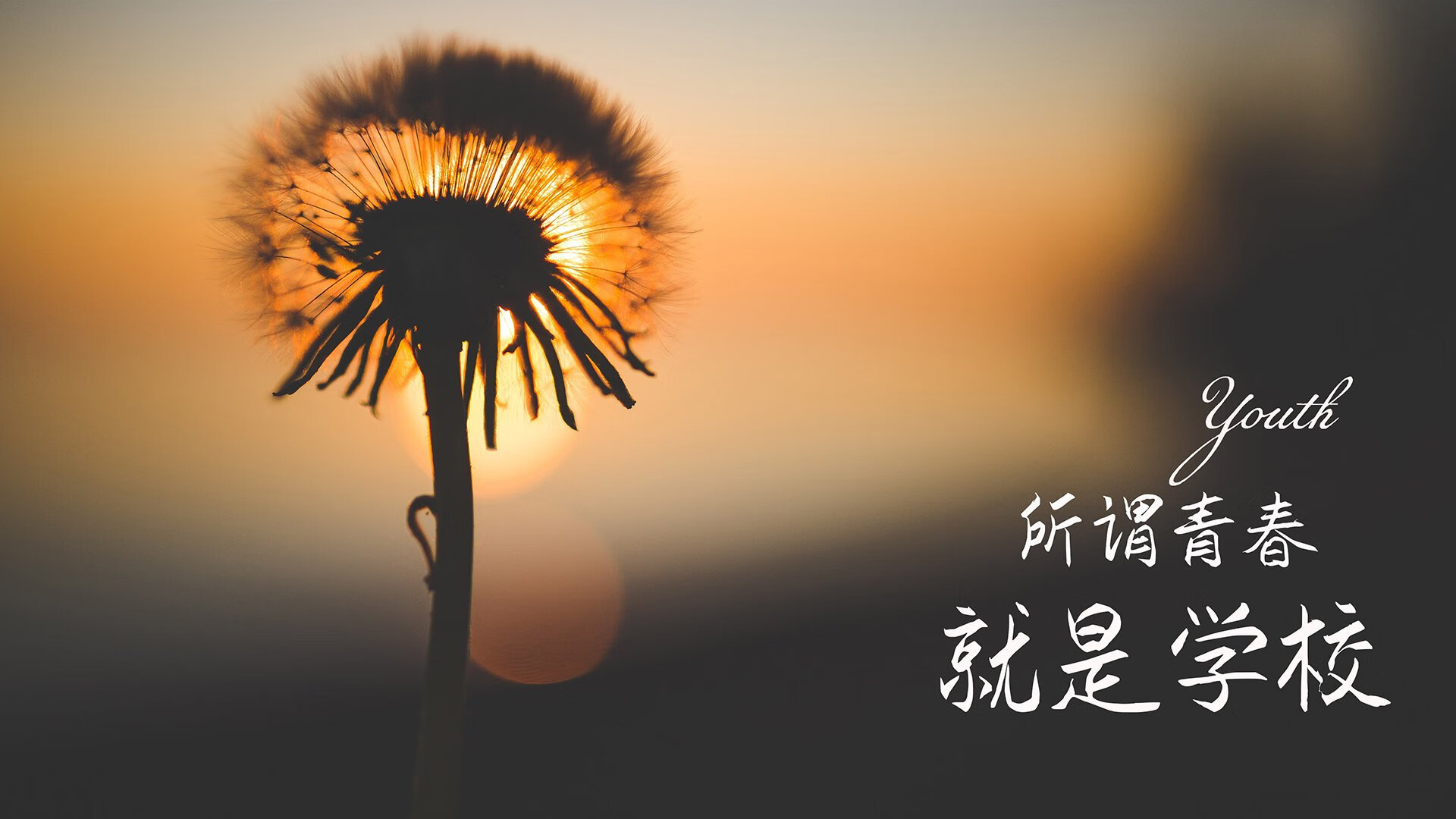 暗夜独行，2026世界杯D组，姆巴佩的星光与韩国之魂的绝唱