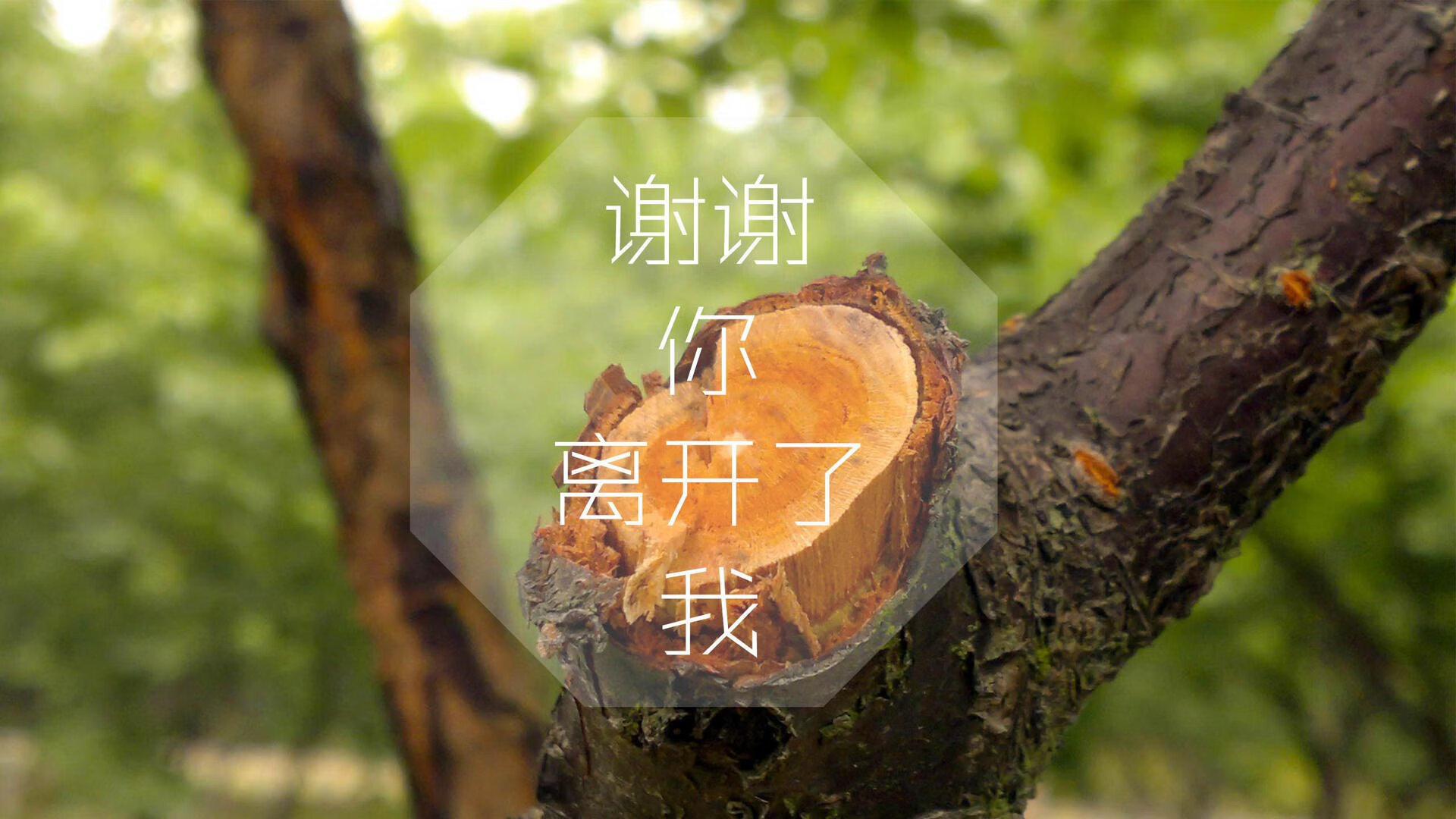 黑马之翼，当德意志战车撕裂高卢雄鸡，德布劳内书写唯一的王者剧本