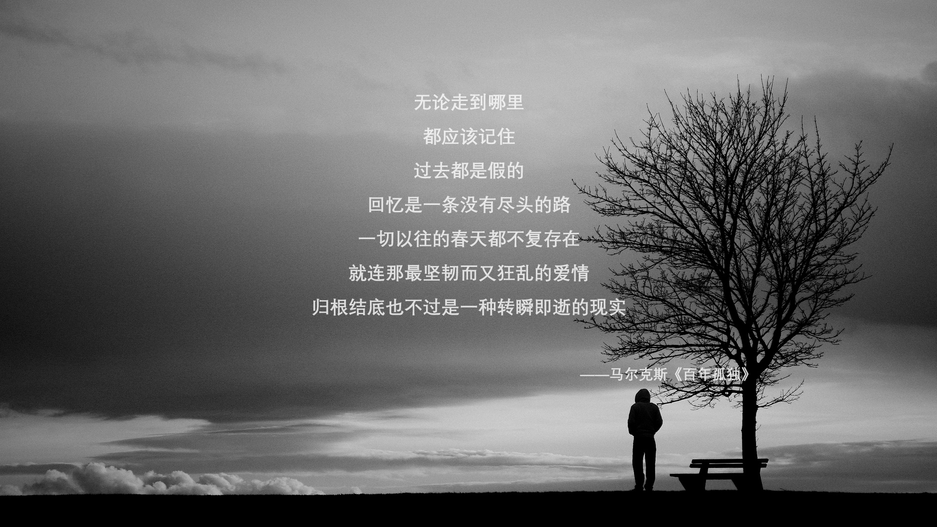 枫叶之刺，格列兹曼的狡黠与西班牙斗牛士的黄昏—2026世界杯四分之一决赛冷门解码