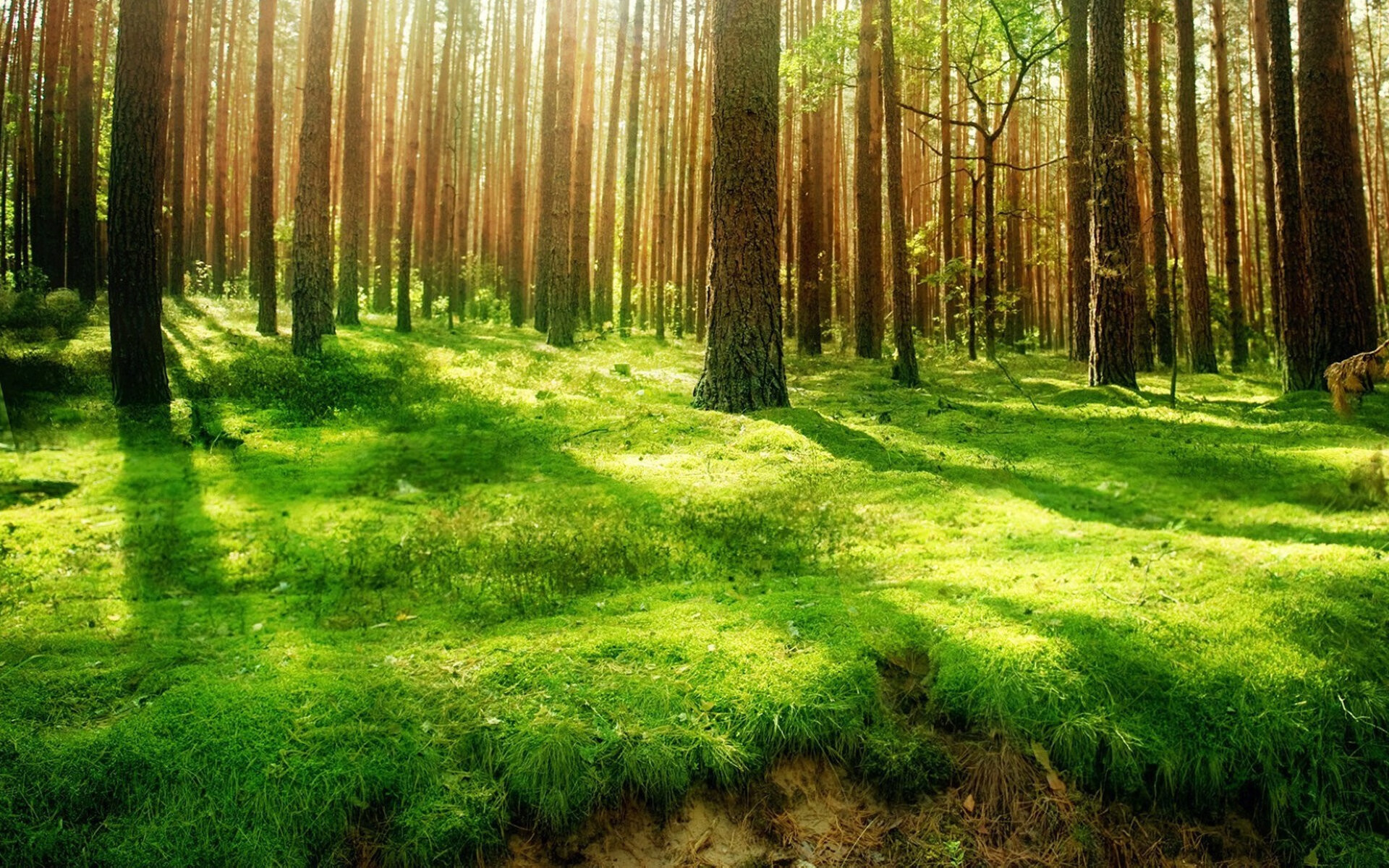 弗拉门戈踏碎日耳曼战车，那场定义了唯一性的萨卡风暴