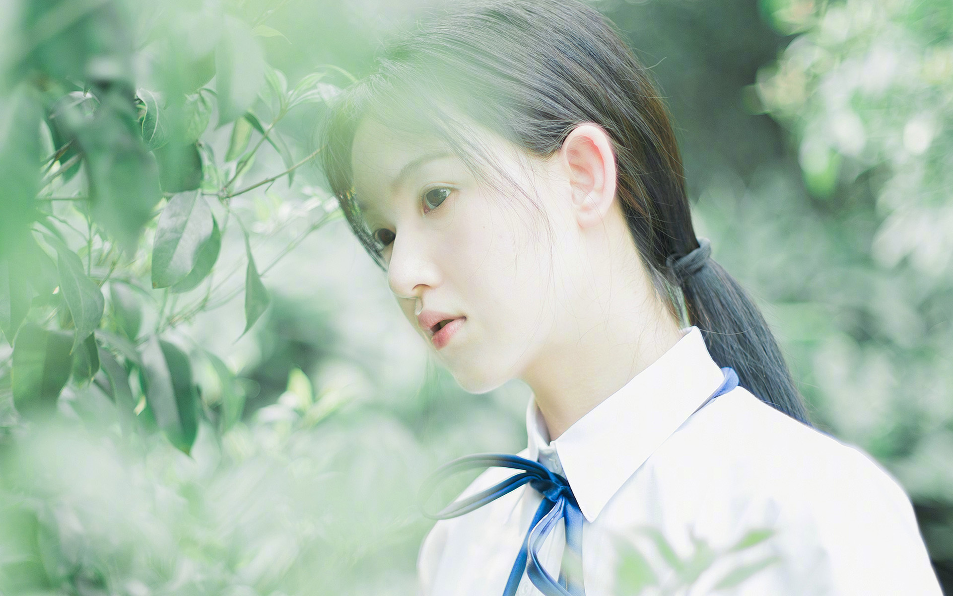半岛的黄昏与破晓，2026，当孙兴慜的弧线撕裂宿命